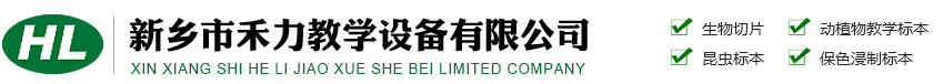 動(dòng)物油設(shè)備